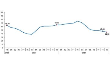 Tüik:  Tüketici fiyat endeksi (TÜFE) yıllık %44,38, aylık %1,03 arttı