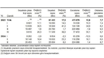 Tüik: Yurt içinde ikamet eden 20 milyon 453 bin kişi seyahate çıktı