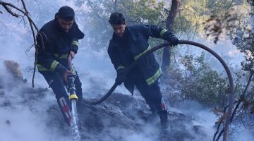 Antalya Büyükşehir itfaiyesinden orman yangınına müdahale