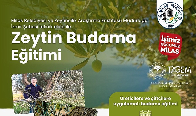 Milas Belediyesi Çiftçilere Uygulamalı Zeytin Budama Eğitimi Verecek