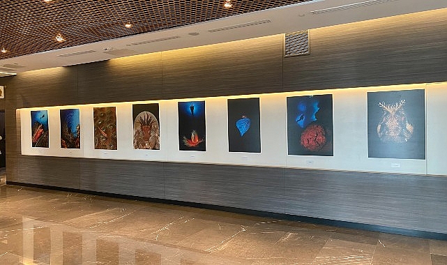 “Okyanusların Mirası" Sualtı Fotoğraf Sergisi Memorial Sanat Galerisi'nde