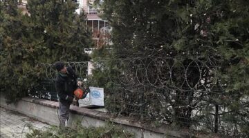 Şehir Genelinde Ağaç Budama Çalışmaları Sürüyor