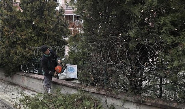 Şehir Genelinde Ağaç Budama Çalışmaları Sürüyor