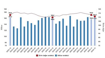 Tüik: İhracat birim değer endeksi %1,0 arttı