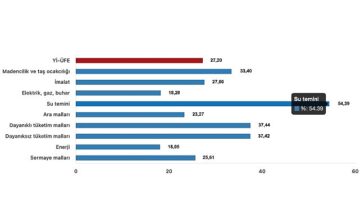 Tüik: Yurt İçi Üretici Fiyat Endeksi (Yİ-ÜFE) yıllık %27,20 arttı, aylık %3,06 arttı